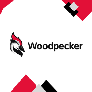 Woodpecker amazing tools